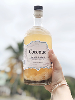 Coconut