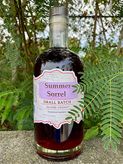 Summer Sorrel